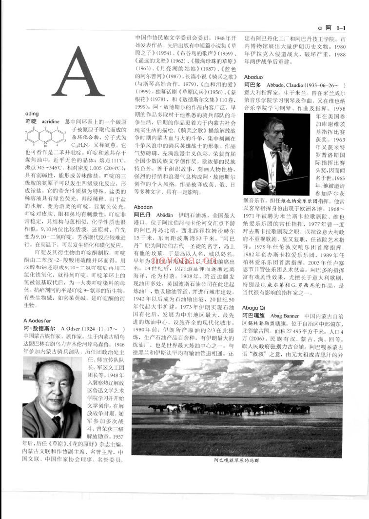 中国大百科全书(第二版)