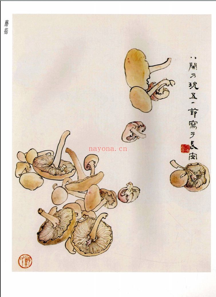 荣宝斋画谱