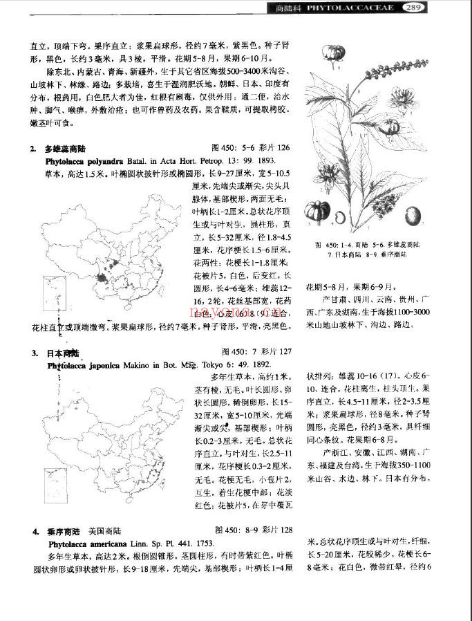 中国高等植物