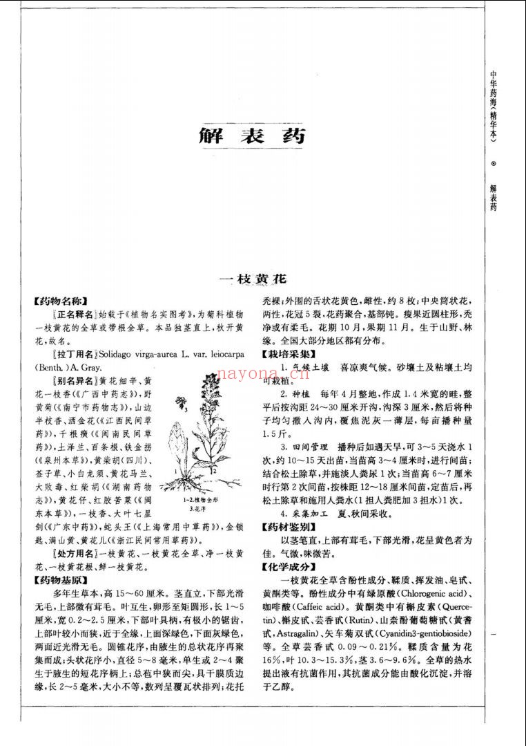 中华药海