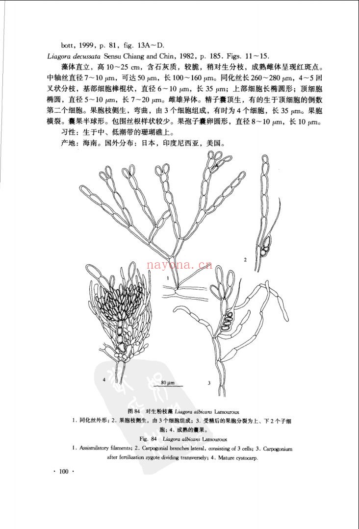 中国海藻志