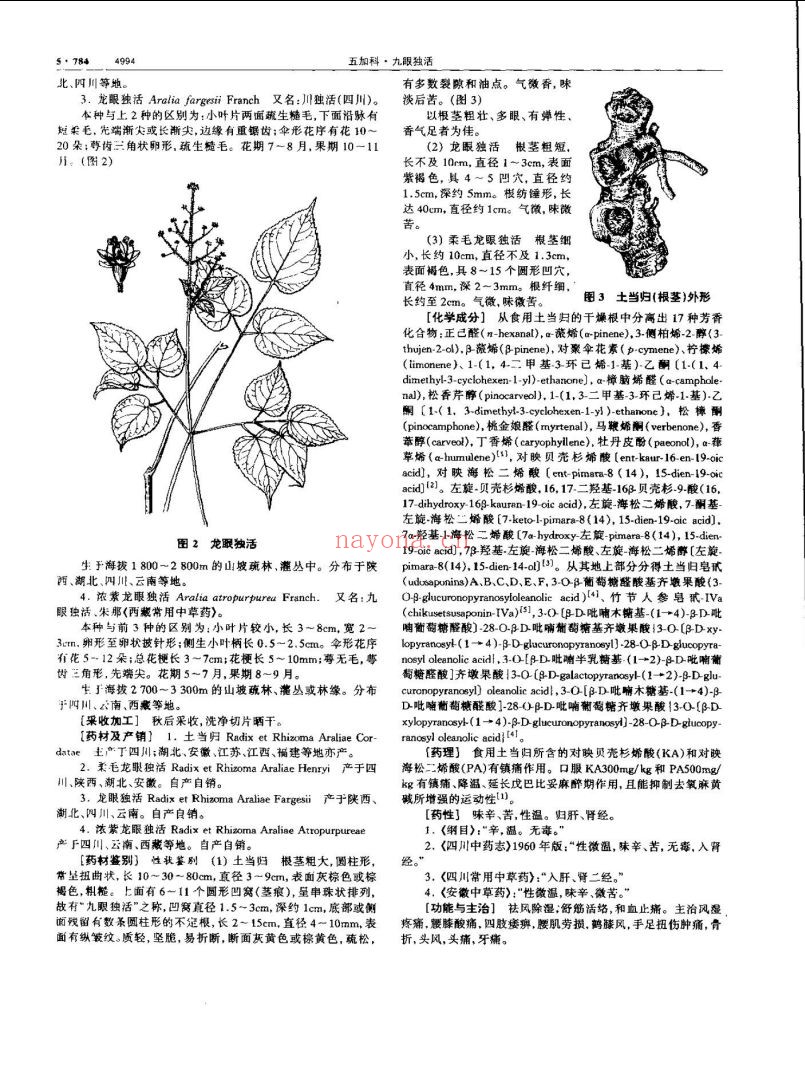 中华本草(完美修改版)