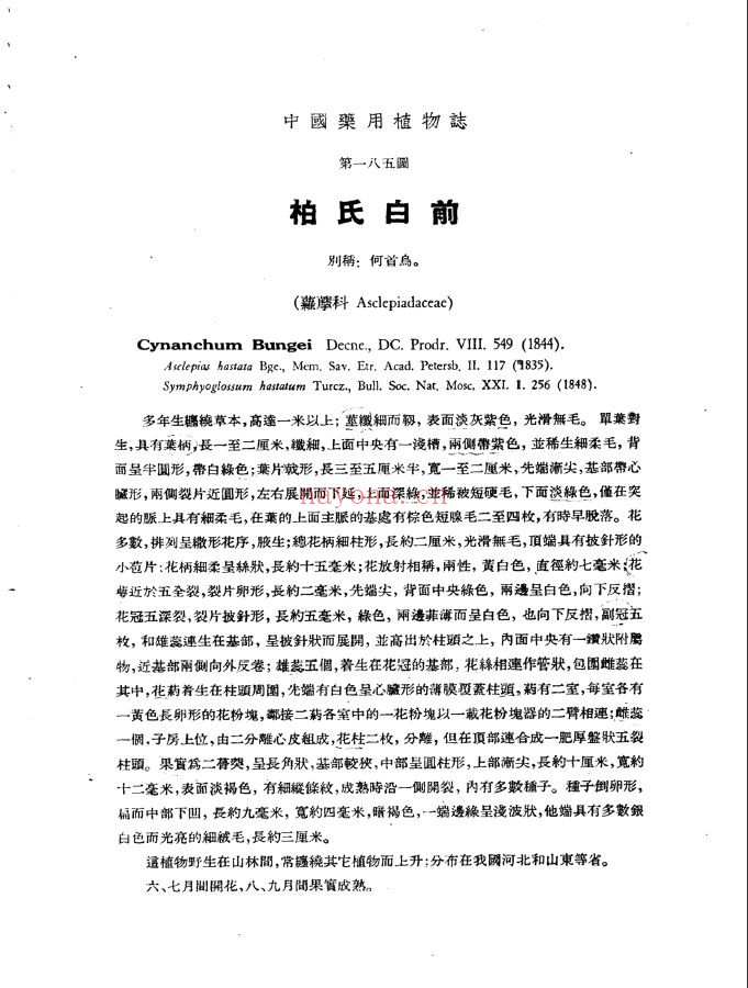 中国药用植物志