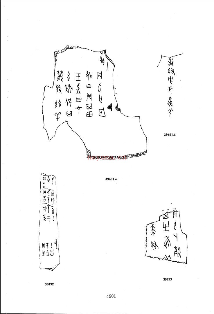 甲骨文合集