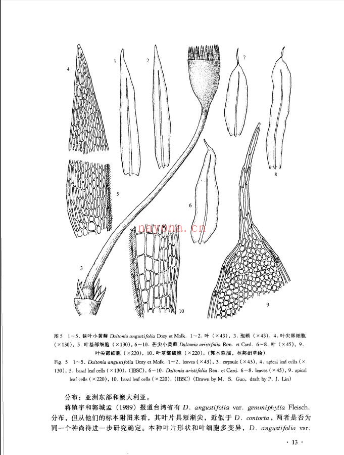 中国苔藓志