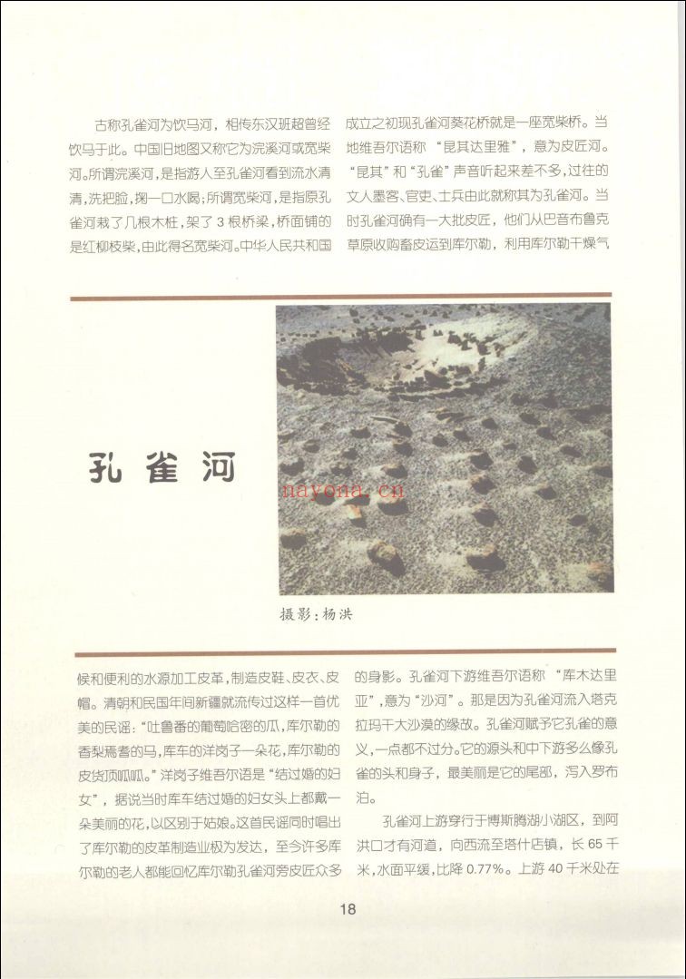 新疆资料荟萃
