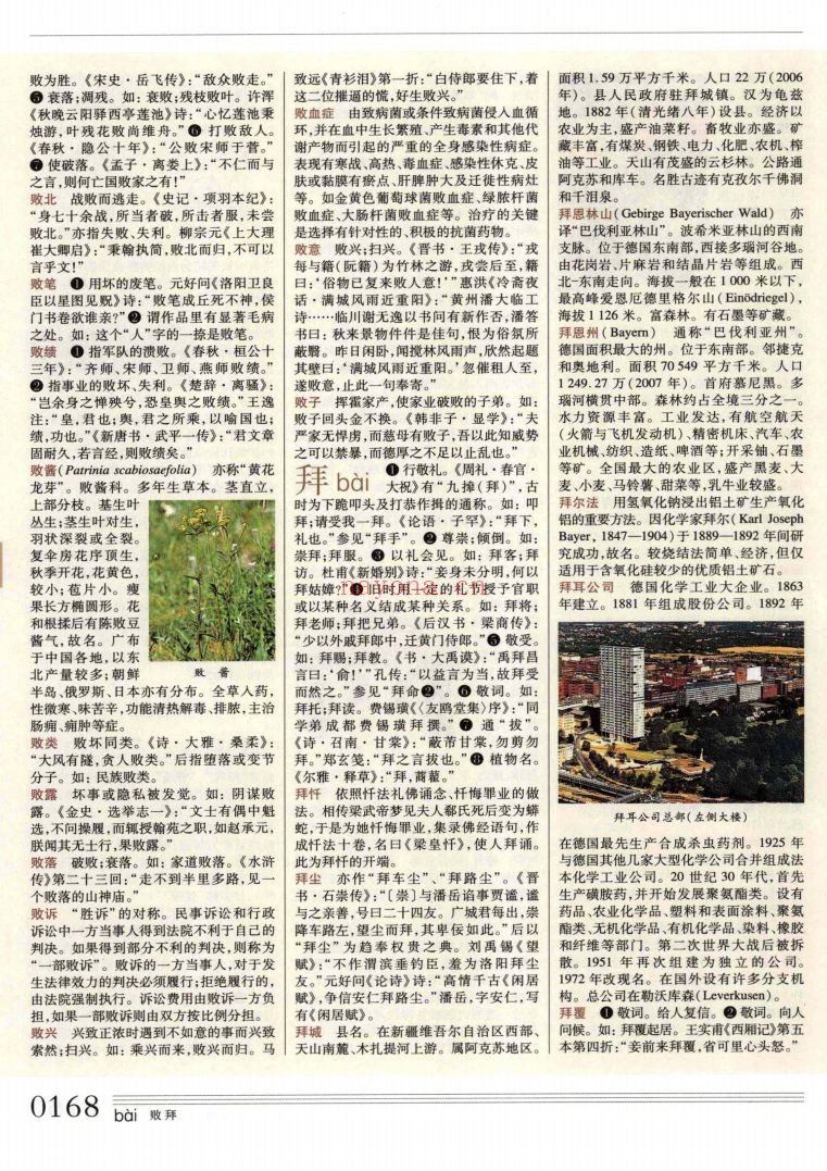 辞海(2011年版本)