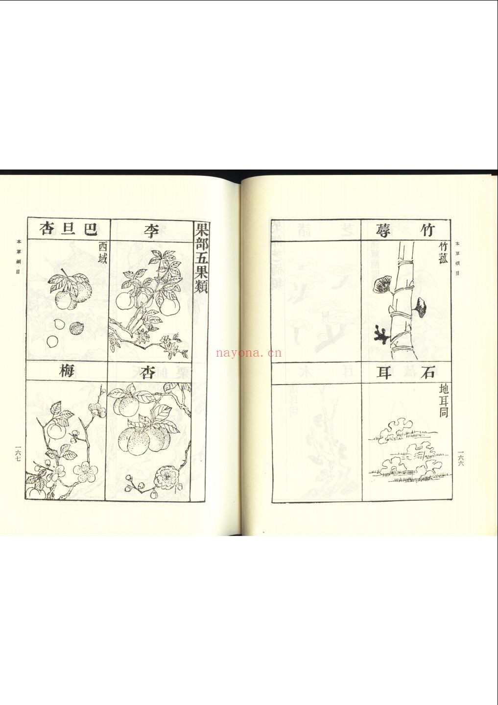 本草纲目完整版