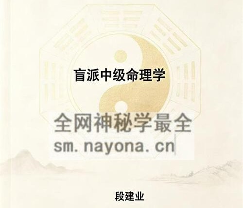 E437段建业《盲派中级命理学》PDF电子书156页