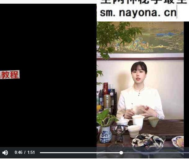 李法权归元丹炁【丹道启蒙课】29讲视频