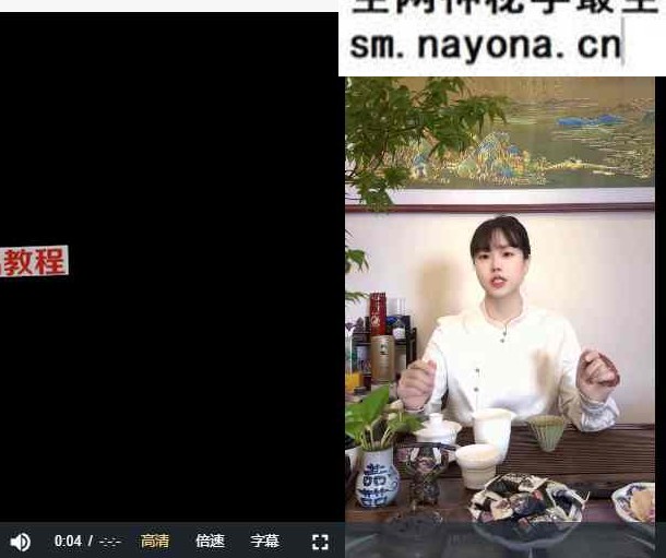 李法权归元丹炁【丹道启蒙课】29讲视频