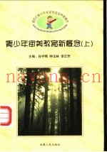 新世纪青少年审美素质培训新概念  青少年审美教育新概念  上下
