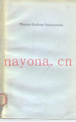 Photon-Hadron Interactions