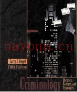 CRIMINOLOGY THEORIES