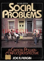 Social Problems A Critical Power-Conflict Perspective Second Edition