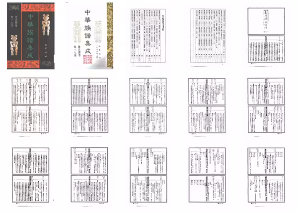 C0115_中华族谱集成_陈氏谱卷_第十七册.pdf[地方藏谱] - A更新