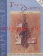 PRINCIPLES OF ANATOMY AND PHYSIOLOGY  NINTH EDITION