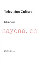 TELEVISION CULTURE