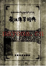藏汉佛学词典  藏文