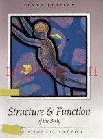 STRUCTURE & FUNCTION OF THE BODY