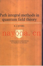 Path integral methods in quantum field theory