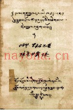 珠圣甘露珠  藏文