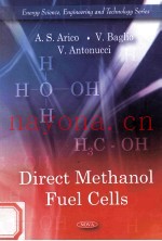 Direct Methanol Fuel Cells