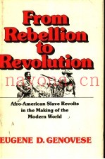 FROM REBELLION TO REVOLUTION  AFRO-AMERICAN SLAVE REVOLTS IN THE MAKING OF THE MODERN WORLD