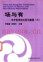 场与有  中外哲学的比较与融通  6