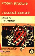 PROTEIN STRUCTURE A PRACTICAL APPROACH