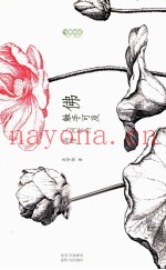 佛 触手可及  人间世的高僧
