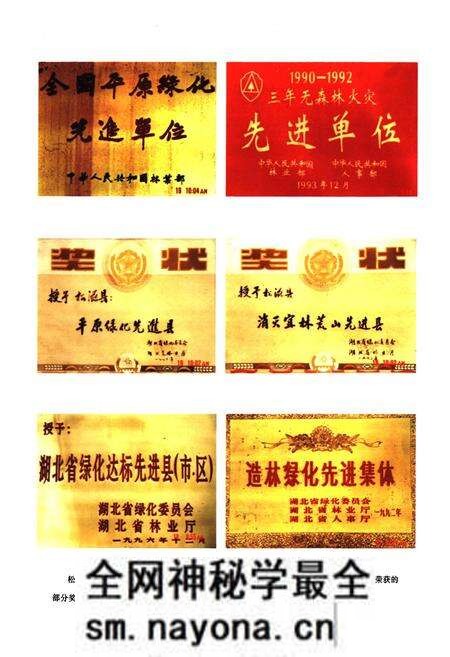 《松滋市林业志(1985-2004年)》.pdf电子版_湖北省志预览图5