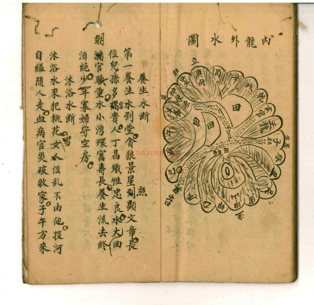 《阴阳四十八龙定局》9