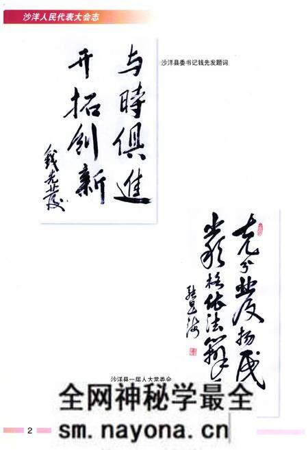 《沙洋人民代表大会志(第一卷)(1987-1998)》.pdf电子版_湖北省志预览图3