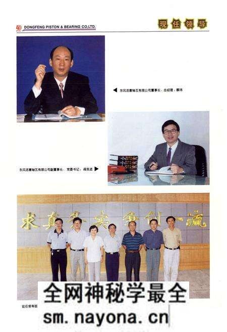 《《东风活塞轴瓦有限公司分卷(1984-1998)》》.pdf电子版_湖北省志预览图5