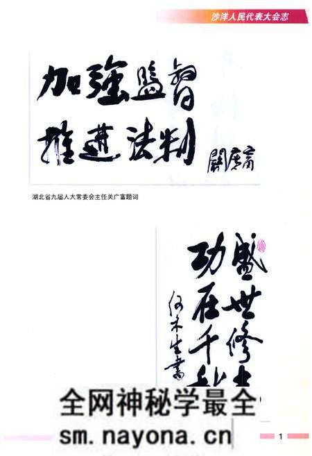 《沙洋人民代表大会志(第一卷)(1987-1998)》.pdf电子版_湖北省志预览图2
