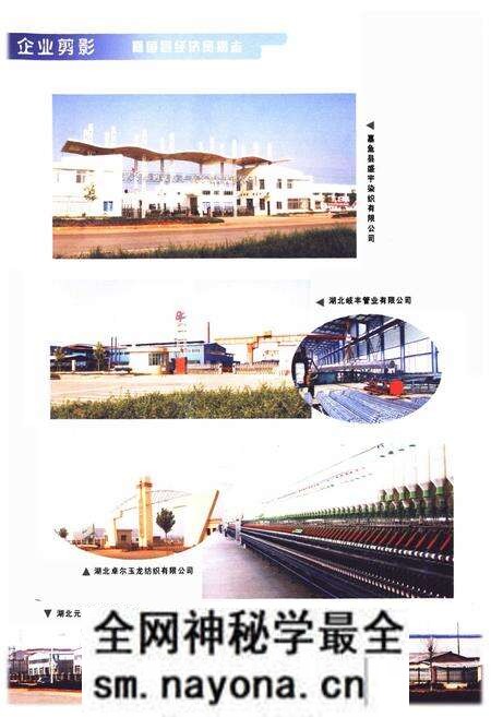 《嘉鱼县经济贸易志(1979-2005)》.pdf电子版_湖北省志预览图5