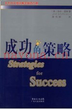 成功的策略