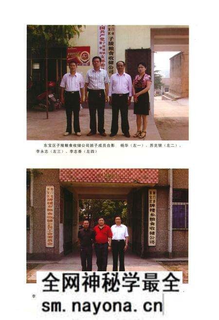 《东宝粮食志(1998-2005)》.pdf电子版_湖北省志预览图5