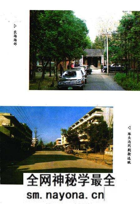 《《大同湖农场志》》.pdf电子版_湖北省志预览图4