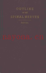 OUTLINE OF THE SPINAL NERVES