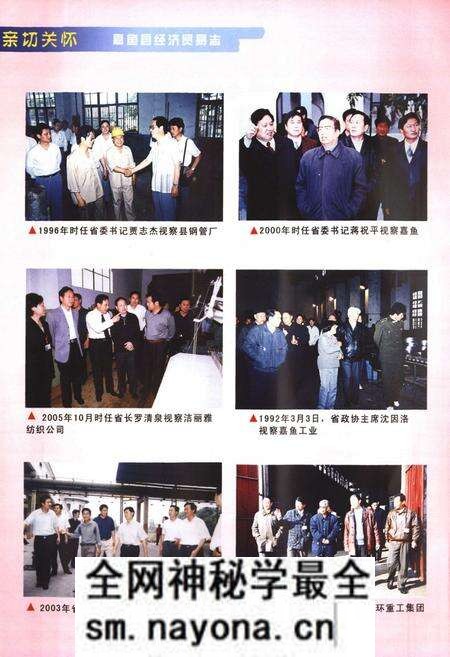 《嘉鱼县经济贸易志(1979-2005)》.pdf电子版_湖北省志预览图4