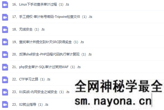 【测试运维】某神-Kali安全高级工程师进阶班第二阶段25期|2021年|完结无秘