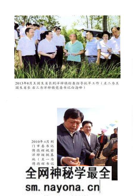 《洋梓镇志》.pdf电子版_湖北省志预览图4 《洋梓镇志》.pdf电子版_湖北省志预览图4