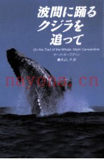 波间に踊るクジラを追って