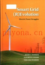 Smart grid (r)evolution electric power struggles