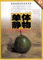 基础绘画色彩全程训练  单体静物