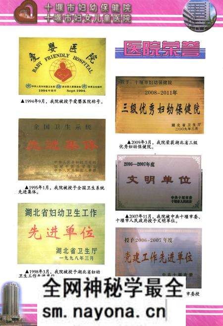 《十堰市妇幼保健院十堰市妇女儿童医院院志(1979.03-2009.03)》.pdf电子版_湖北省志预览图5