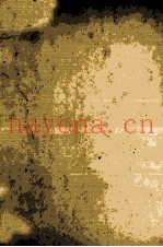 自家谨制小説読本
