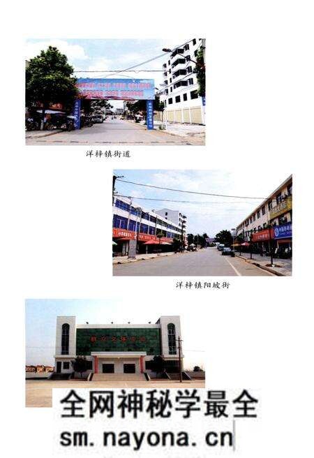 《洋梓镇志》.pdf电子版_湖北省志预览图5 《洋梓镇志》.pdf电子版_湖北省志预览图5